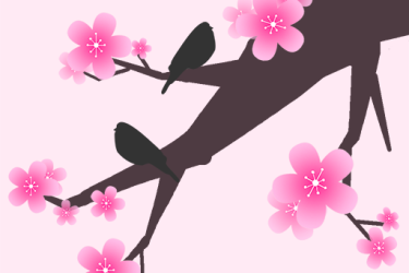 桃花恋交会员怎么样