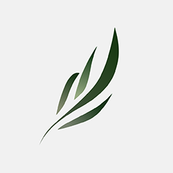 东南小说app使用教程