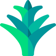 植物涂鸦app怎么用