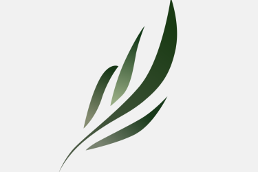 东南小说app怎么样可靠吗安全吗